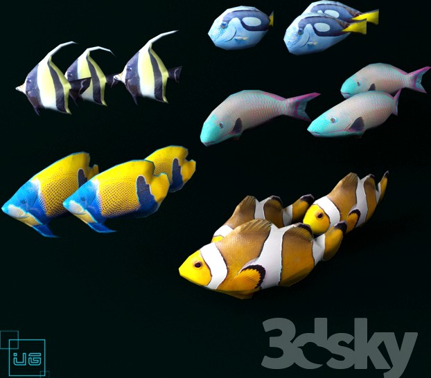 Tropical fish Low poly