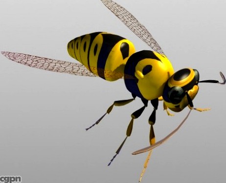 Bee3d model