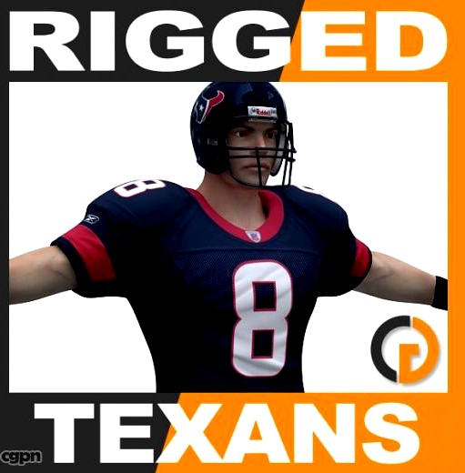 NFL Player Houston Texans Rigged3d model