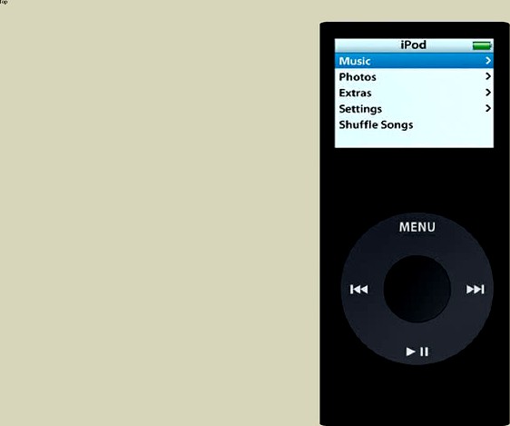 ipod nano (black)