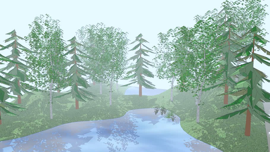 Forest Scene