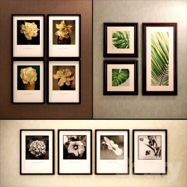 The picture in the frame: 11 Pieces (Collection 13) Flowers
