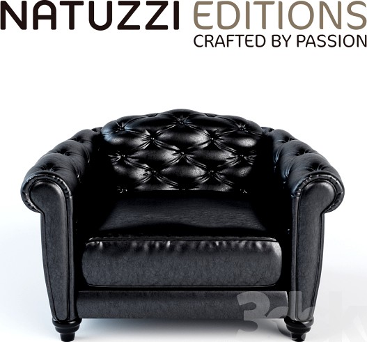 Natuzzi Editions B873 Chair