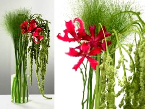 Amaranthus & Nerine Centerpiece