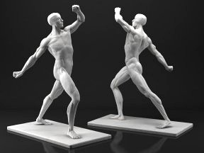 Male Anatomy Sculpture