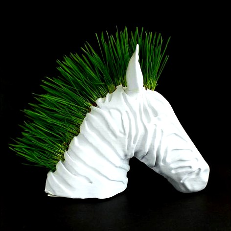 Zebra Planter by DrFemPop