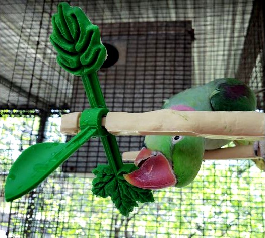 Naturalistic wood branch bird perch with spinner toy, clip in for welded wire mesh in inches by Gazaah