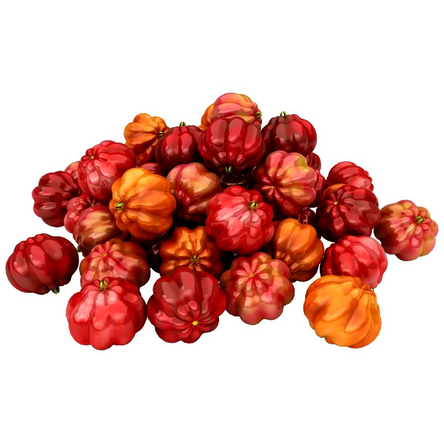 Surinam Cherries Pile (Color 2)