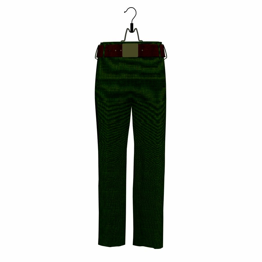 Green Trouser On a Hanger