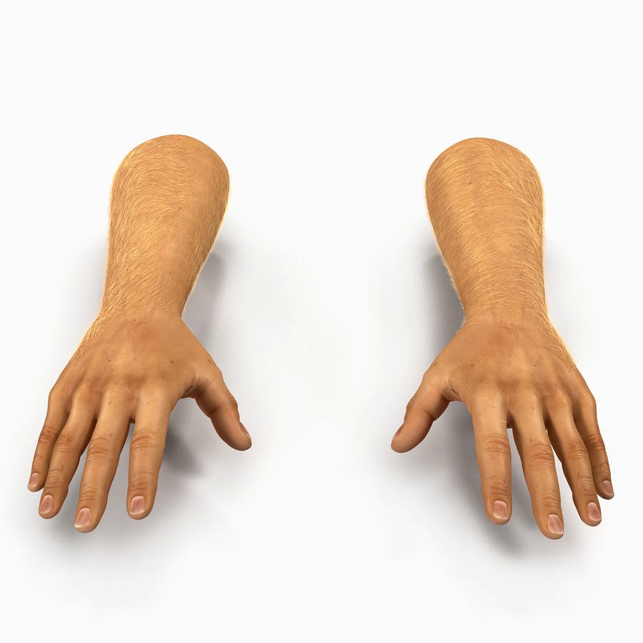 Man Hands 2 with Fur 3D Model