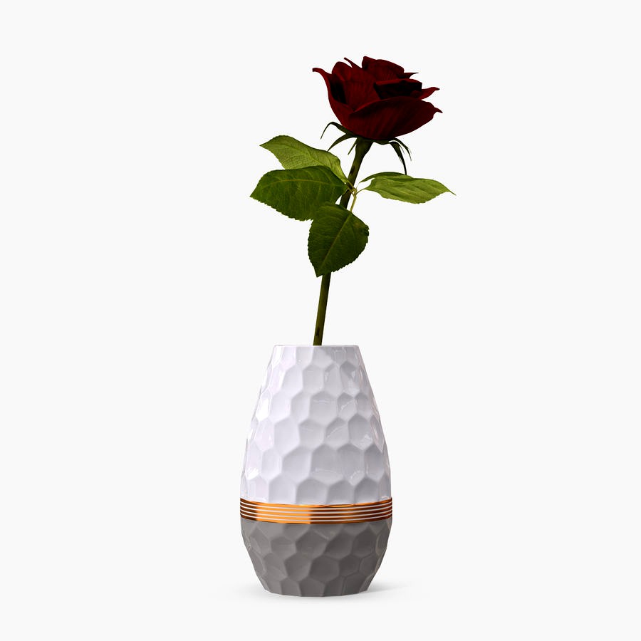 Hexagon Vase with Rose