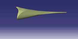 Surface Model of self designed Blended wing body Masa1