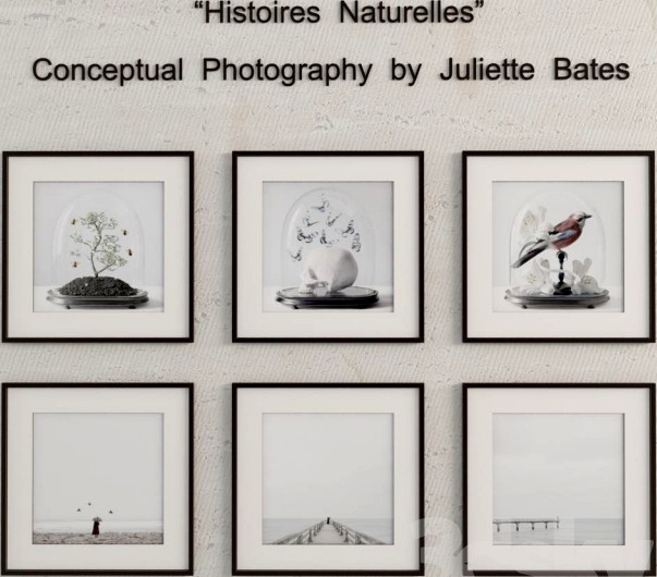 Histoires Naturelles