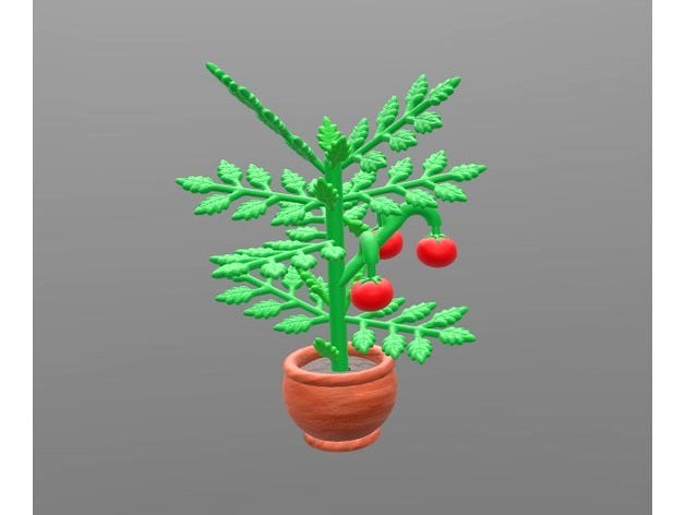 Tomato plant with removable tomatoes by Enely