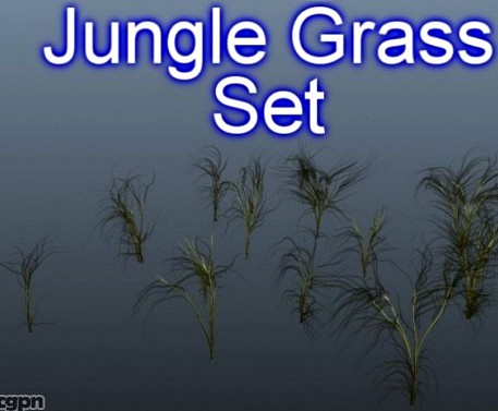 Jungle Grass Set 0013d model