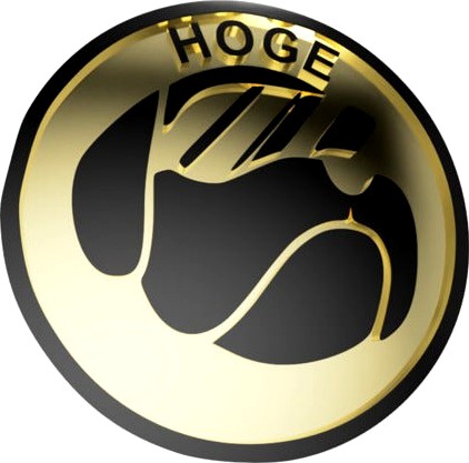 Hoge coin by stromfo