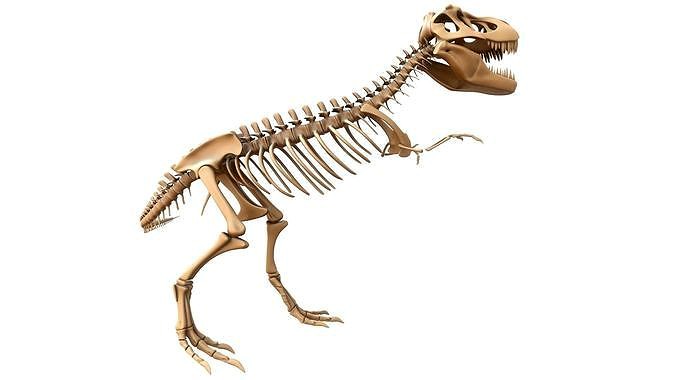 T-rex Skeleton