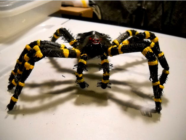 scarry hairyetta tarantula by caj