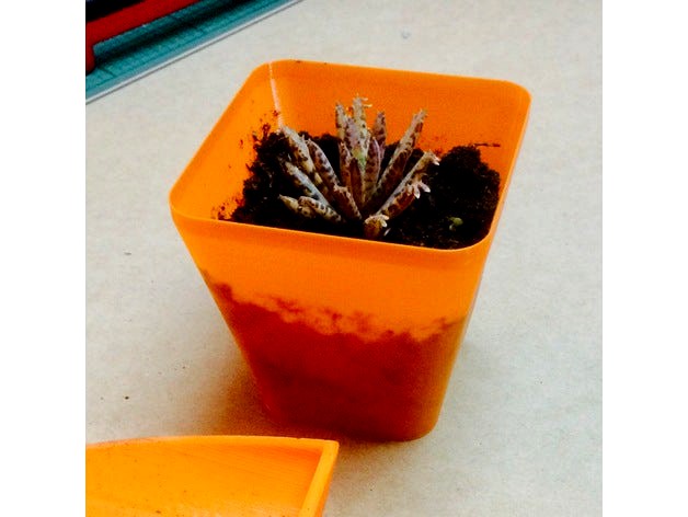 Small Plant Pot by Ianardo