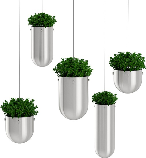 Plants in Metal Hanging Pots
