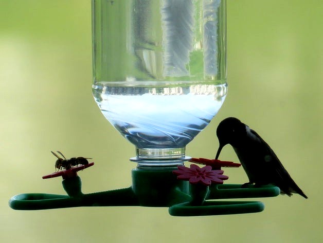 Hummingbird Feeder with Perch by Gazorpa