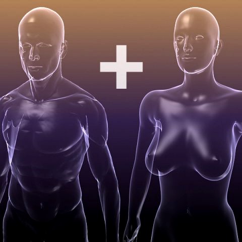 Male And Female Anatomy - transparent bodies 3D Model