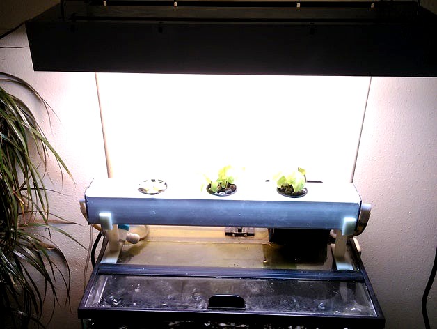 10 Gallon Aquaponic Light Holder by CodyCoyle