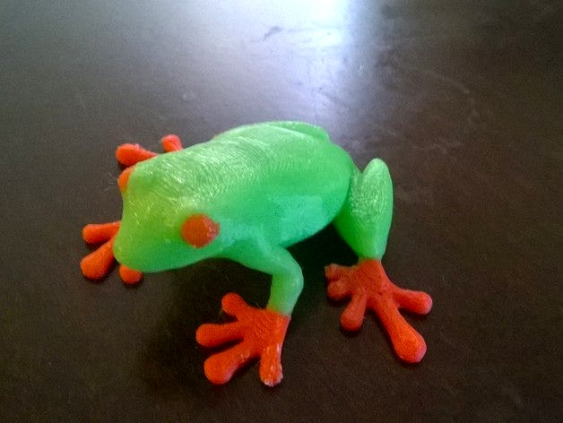 Dual colored Tree Frog  by BNaramore