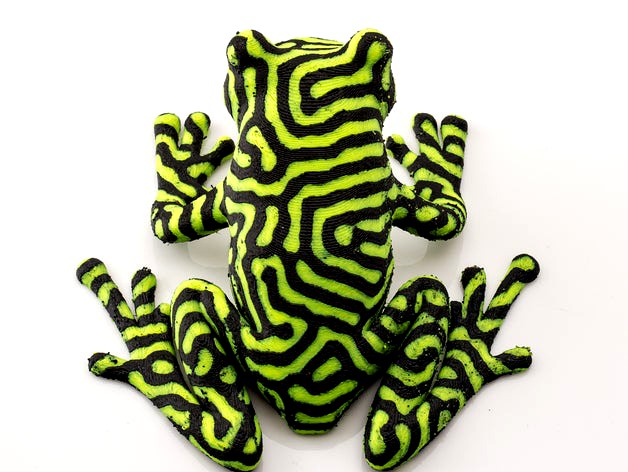 2-color tree frog by nervoussystem