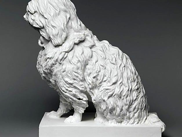 Musette, a Maltese dog by met