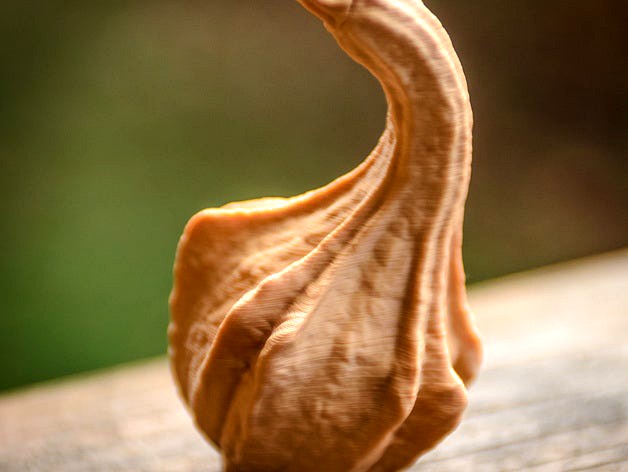 Winged Gourd by WorksBySolo