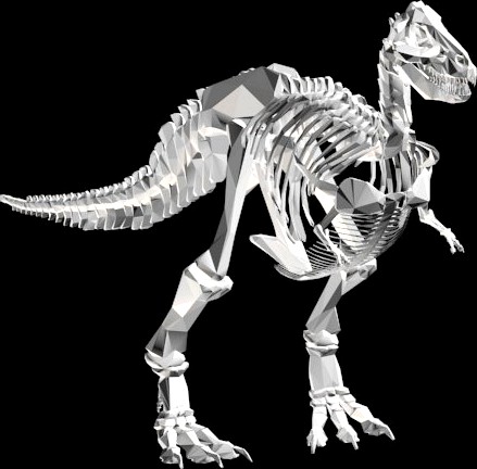 Dinosaur skeleton 3D Model