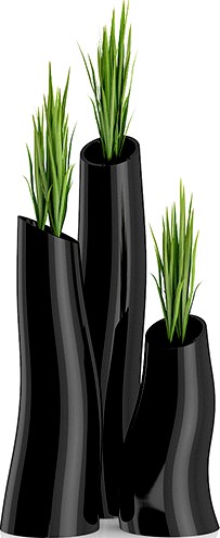 Three Plants in Black Pots