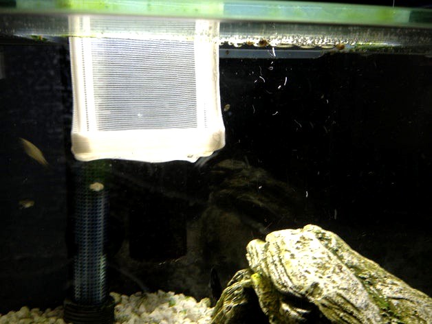 Fish tank fry box by falcon20cne