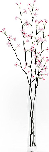 Flowering Tree Twigs in Glass Vase