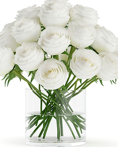 White Roses in Glass Vase