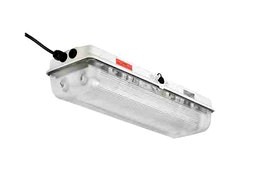 28W Flameproof Fluorescent Emergency Linear Fixture - 220V, 50Hz - (2) 2' T5 Lamps - ATEX/IECEx