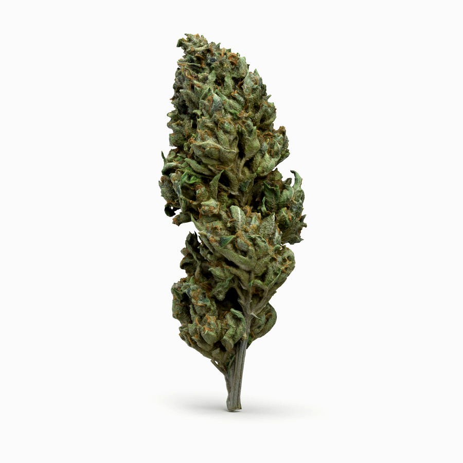 Sour Diesel Cannabis Bud