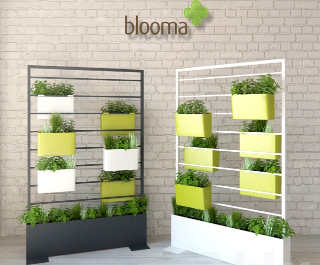 blooma vegetal divider