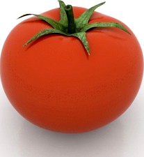 Tomato