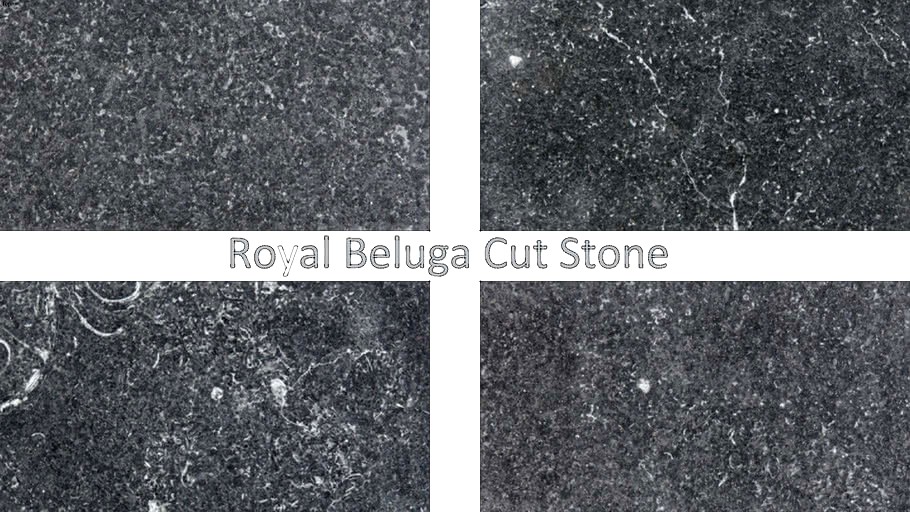 Buechel Stone Royal Beluga Cut Stone - Architectural Stone for Cut Stone Details 5x5 in