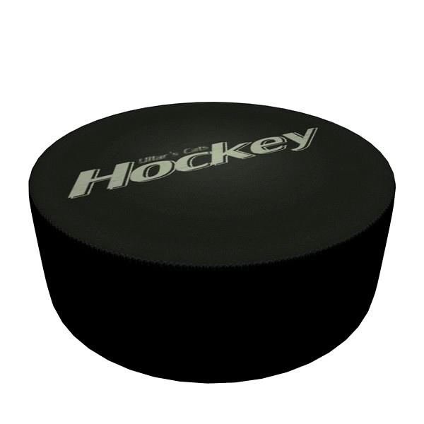 Hockey puck