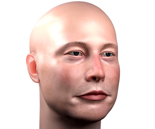 Elon Musk skin textured 3D portrait