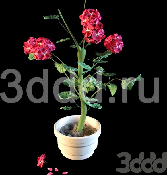 3DDD FLOWERS