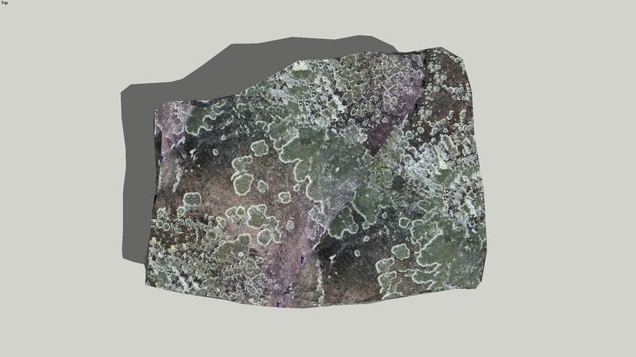stone with lichen