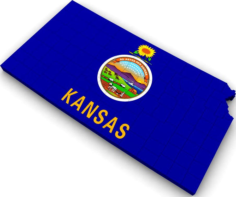 Kansas Political Map3d model