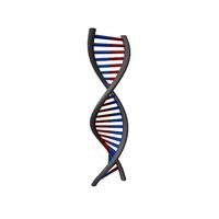 DNA Molecule v1 004