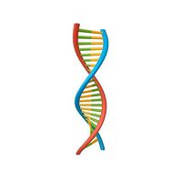 DNA Molecule v1 002