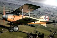 Albatros d2