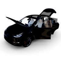 tesla model y black with interior